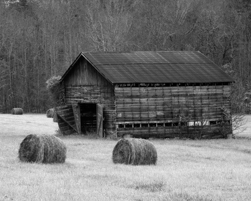 IMGP5400bw1.jpg - Kentucky barn.