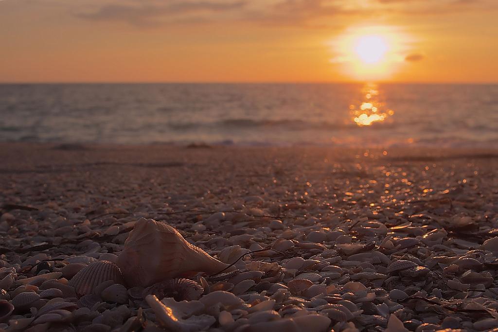 IMGP5999.jpg - Sunset on Gasparilla Island FL, K100d and 18-55mm kit lens.