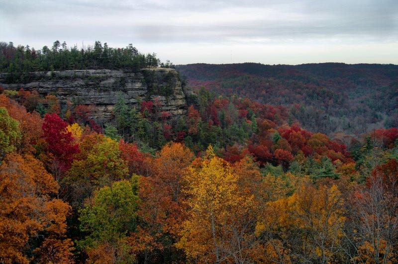 Image1.jpg - View from the top of the Natural Bridge, Natural Bridge State Park KY