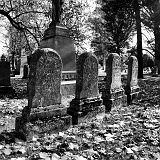 IMGP3946b8x10