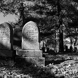 IMGP4169b