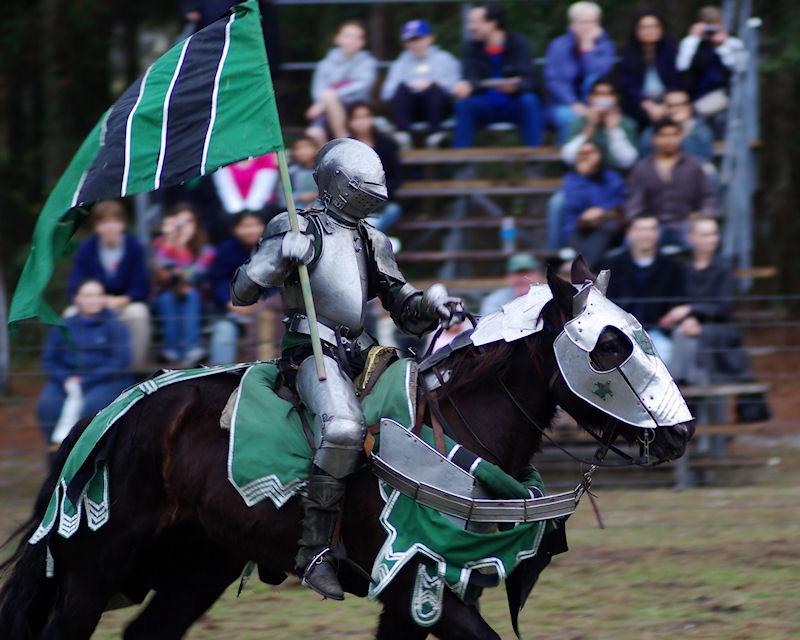 RF1.jpg - Hoggetowne Medieval Faire, Gainesville FL 2008