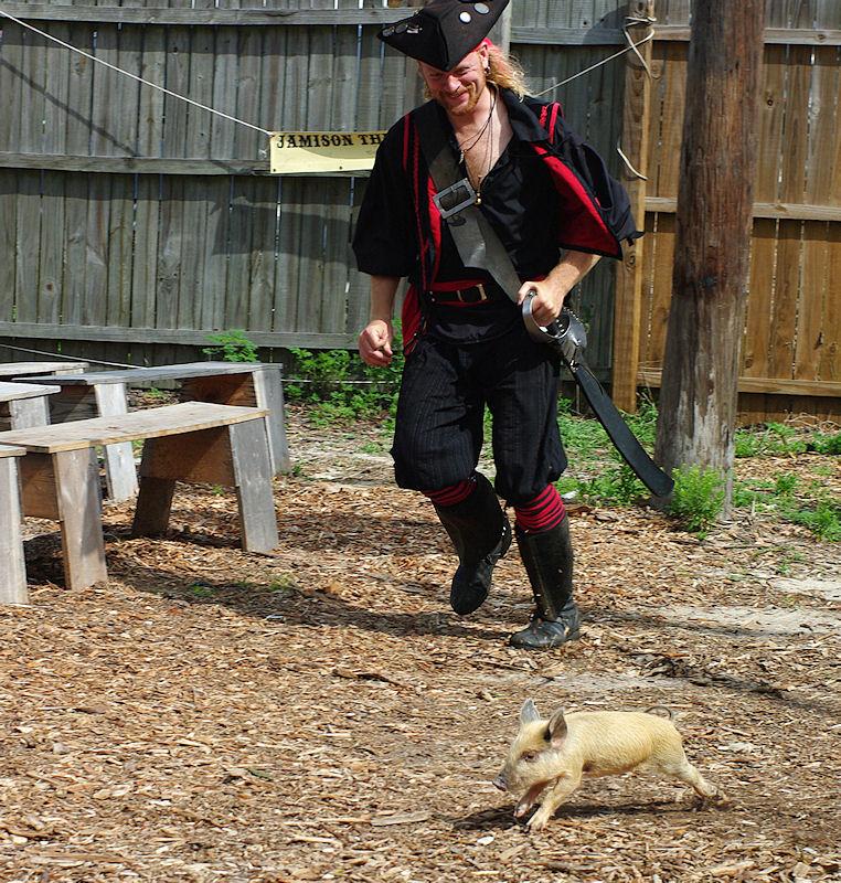barf15.jpg - This escaped piglet evaded capture for quite some time.  Bay Area Renaissance Festival 2008