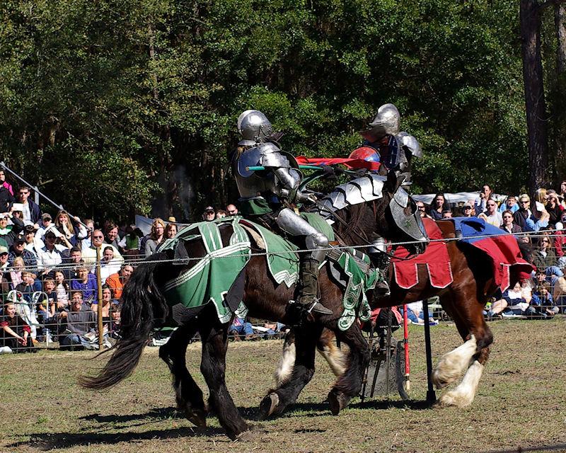 rf6.jpg - Hoggetowne Medieval Faire, Gainesville FL 2008