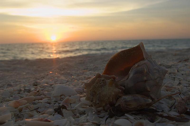 IMGP6294.jpg - Gasparilla Island sunset, K100d and 18-55mm kit lens.